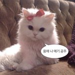 재수<b>생판</b>녀 공부해야 되는데