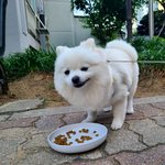 우리집 귀염<b>둥이</b> 봐주세요.