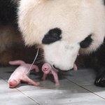 [19] 학원 <b>알</b>바한지 <b>한</b>달 됐는데 3일 쉰다는 거