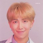 방탄 <b>알</b><b>엠</b> 포카