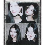 <b>노정</b>의 진심 개이쁨