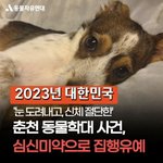 춘천, 과도로 눈을 도려내며 학대한 사건