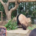 <b>skt</b> 데이터 무제한 0한동 한 명만 ㅜㅜ