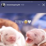 아닝닝이개웃겨