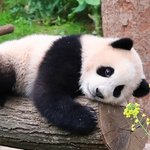 [댓글부탁해] 연예인 까글/<b>악플</b>쓸때 이 기능 추가해야함