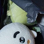 아니 쿵<b>야인형</b> 왔는데 미친듯