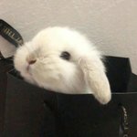 [드루와] <b>배</b>는 안고픈데 뭐가 먹고싶은 느낌 ㅠ
