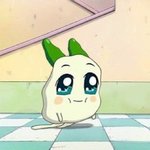 [드루와] 너넨 무<b>쌍</b>이 좋아 <b>유쌍</b>이 좋아?