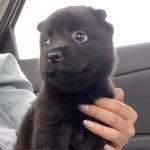 밥 급하게 먹는 게 습관돼서