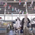아 뉴진스 <b>뮤비</b>찍는데