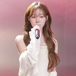와 리무진 윈터 개이쁘네