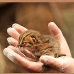 [TXT] 얘 태현이 같음