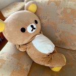 [댓글부탁해] 알바중인데 개짜등나