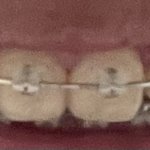 [댓글부탁해] 나 누렁<b>니야</b>?