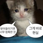 핫뿌링클 먹어본 사람