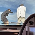 방탄끼리 어그로 끄는거
