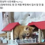[TXT] 아 진짜 텬냥이 이럴것같음