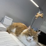 이 쉑 치워 <b>말아</b>