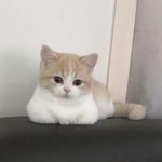 [19] 이거 어장이야..? 급행ㅜㅜ
