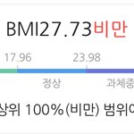 내 <b>bmi</b> 변화