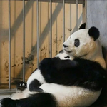 하 갑자기 트위터 보다가 <b>울적</b>함