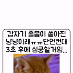 내가 확실히