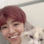 엔시티 <b>재민</b> 고양이 귀엽다