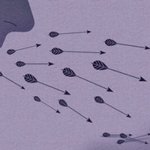결혼해서 애 낳아서도 그 부모의 그<b>자식</b>이지, 그게 대한민국 사람들...