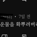 고양이 영상 댓글창 소름돋는다 진짜