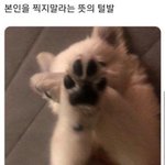 [드루와] 옛날 애니 추천좀