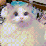 얘드라 너네 <b>특전</b>안받고 영화만 3천원에 보게해주면 볼거야?