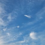 [<b>추반</b>] 사진 못 찍는거 알고 있고 어제 사진인데