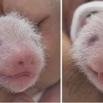 서울시립대 내신 <b>몇</b> 등급까지 쓸 <b>수</b> 있어?