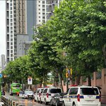 [댓글부탁해] 학교에서 <b>신규</b>교사 자1살해서 과학수사대왔대