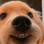 쿨병 걸린 인스스들 <b>무물</b>