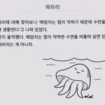 [댓글부탁해] 고3인 판녀 들어와봐