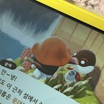 우리반 특수반 애 생일 알려줫다고 <b>상점</b>받음