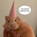 [댓글부탁해] 공주 오늘 생일이다