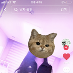 이 패션 <b>에바</b>야?