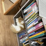 나에 <b>책꽂이</b>