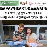 꾸준히 유기견 <b>후원</b>하고 봉사하는 연예인