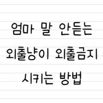 상습가출 냥이 엿먹이기.<b>gif</b>