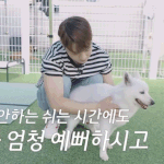 이 트로트 가수 강아지 진짜 좋아하는듯