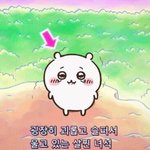<b>여혐</b>은 여자가 한다