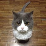 나 <b>화난</b> 거 안 보여?