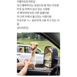 [댓글부탁해] <b>입술</b>필러 맞아본 사람 있음?