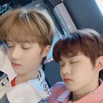 [TXT] <b>성장</b>의 맛
