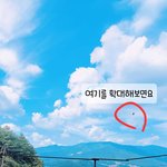 사진보다가 깜짝놀랐네요 이상한<b>물체</b>가ㅠ뭘까요...ㅠ