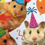 고삼 <b>무좀</b> 생김