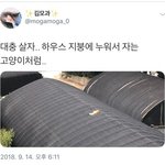 그냥 <b>엽떡</b> 오리지널맛 시키면 많이 매울까